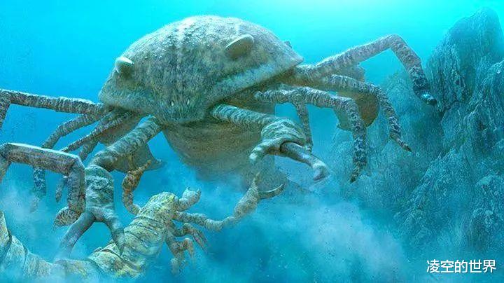 盘点地球各时期的生物霸主——(一)古生代