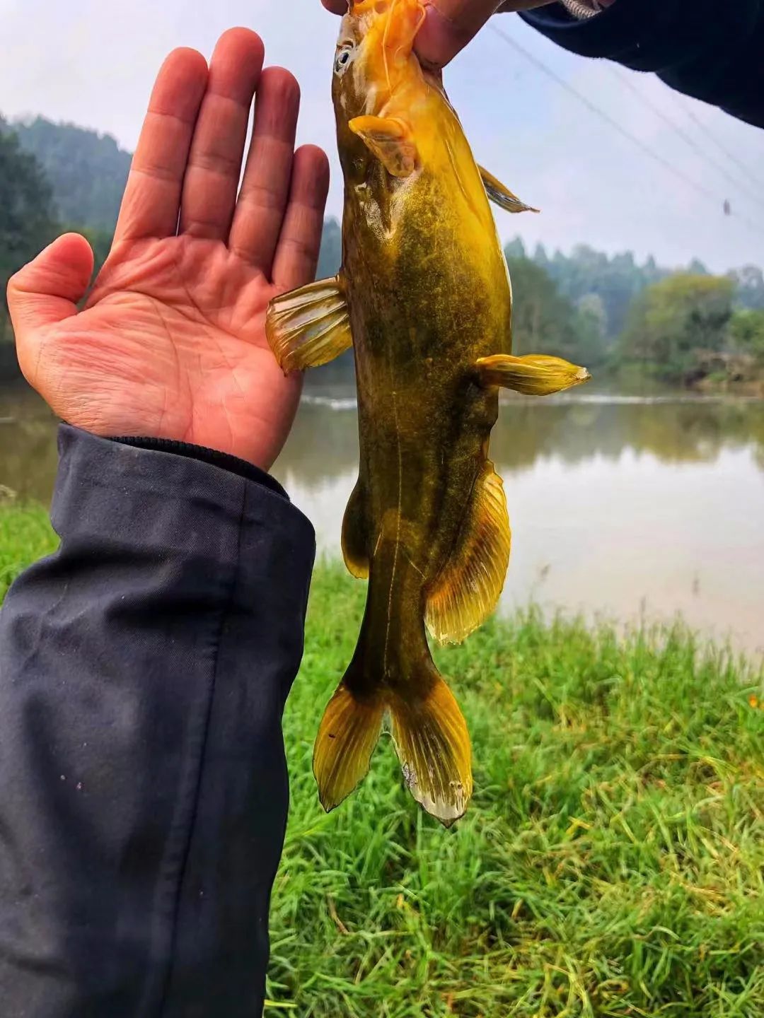 海钓|野奢不被鄙视？你问问那些爱钓鱼的老孩子们，他们有活蹦乱跳的经验！