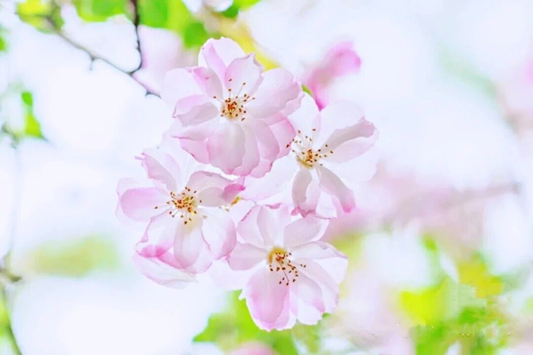 取陌生为名|2021年抖音最伤感句子，送给伤心人：奈何人是剧中人