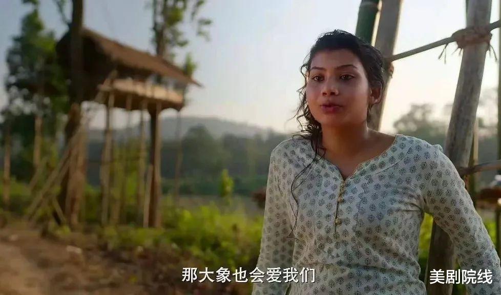 大象 豆瓣9.2，这才是我们现在要看的神作，就该打五星