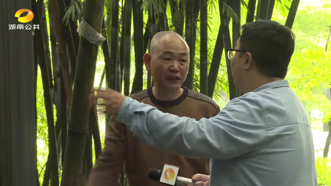 芒果帮女郎 公园里竹子遭刻字“毁容”，刻在竹子上的爱情就会长久？