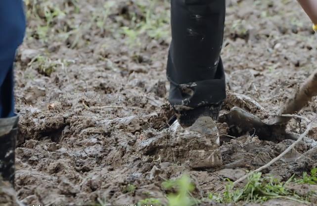 张艺兴|张艺兴下地种树，脚上的鞋子成全场焦点，是不是真干活一目了然