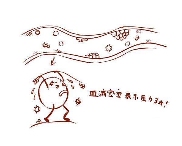 快速问医生|不想血管变“硬”，三道防线要守住，血管越软，身体才会更健康