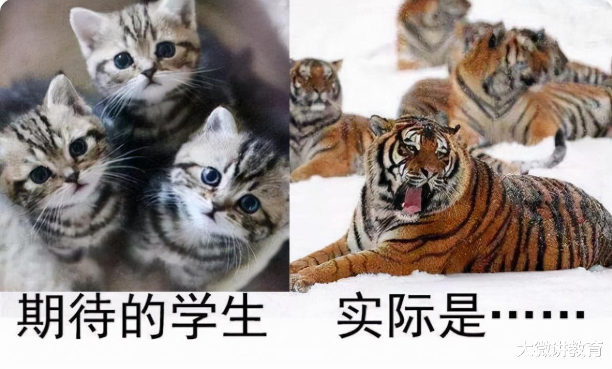 幼师|当幼师前和当幼师后有何变化？一组对比图完美诠释，老师直呼真实