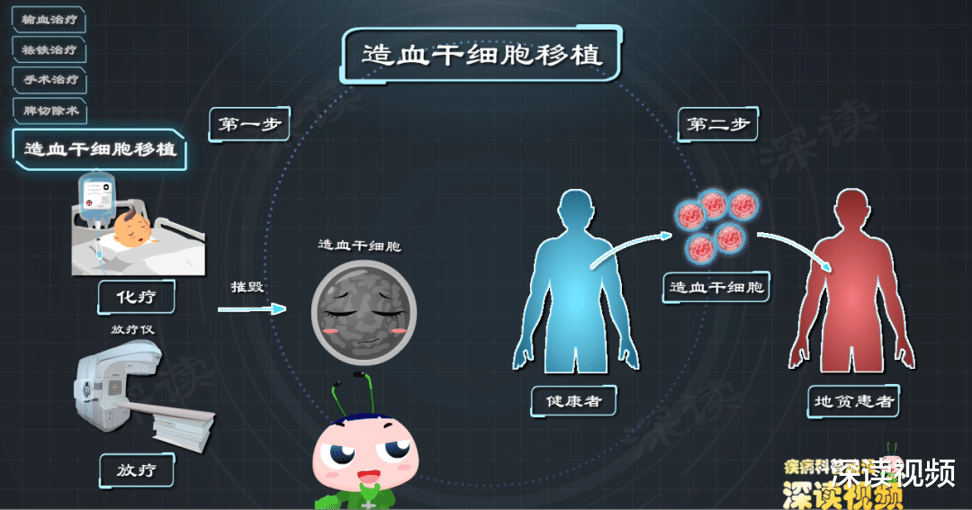 深读视频|地中海贫血竟然要切脾？造血干细胞移植能根治？动漫解读科学疗法