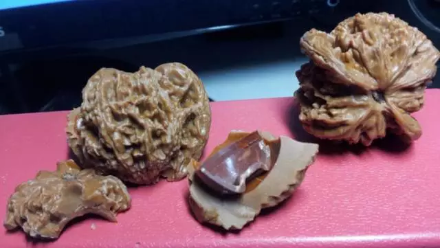 文玩|假文玩的坑，多少人都跳过……