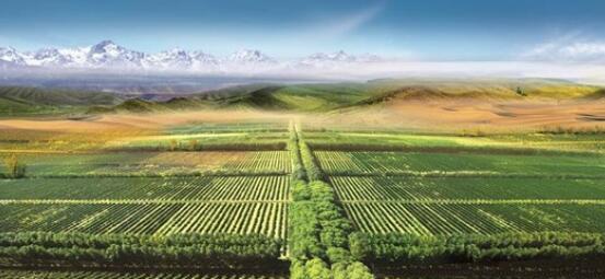 二氧化碳 所有沙漠都变成森林，结果会怎样？科学家：恐难承受此等代价