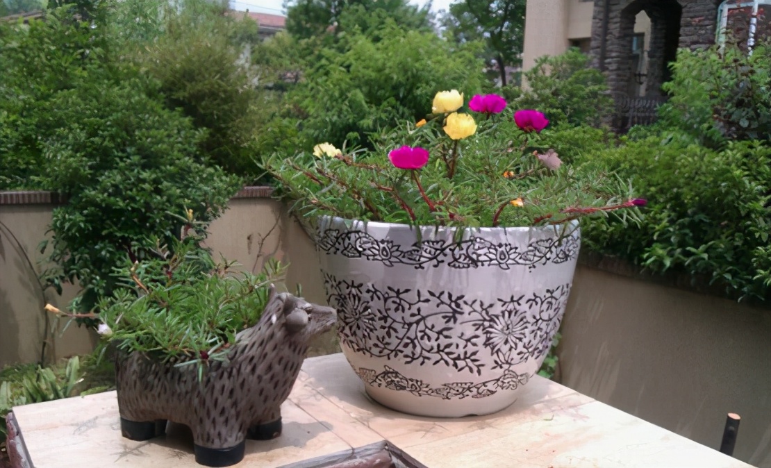 |走进黄菡在生活中的家，餐桌上还包着塑料膜，这生活过得好节俭