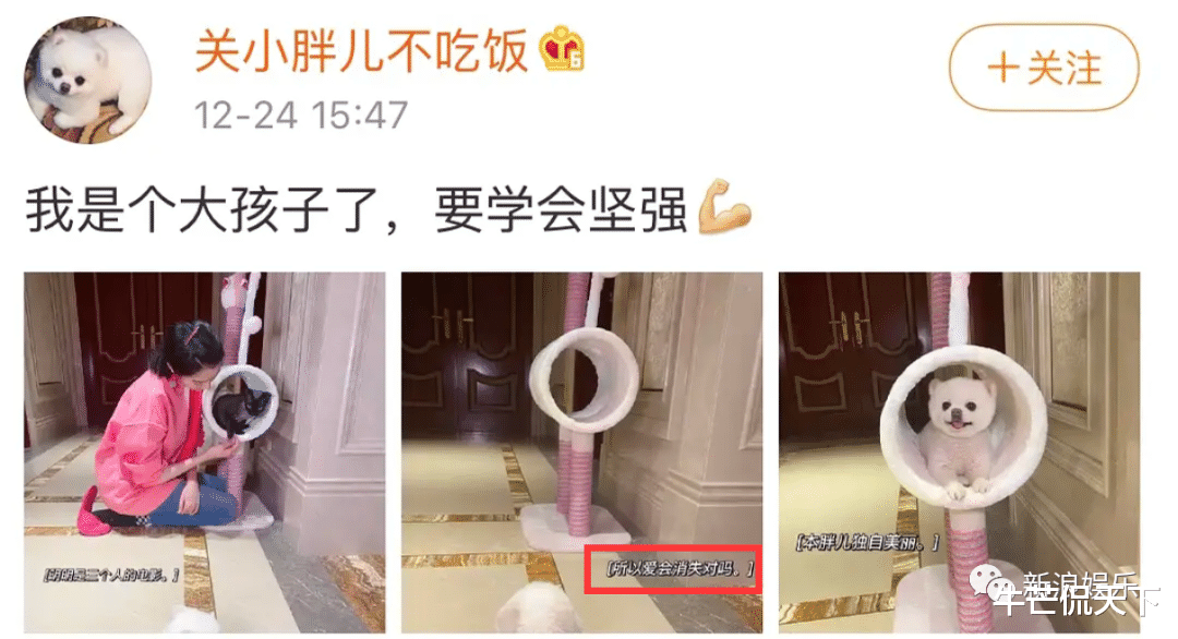 关晓彤|不是真的BE了吧？