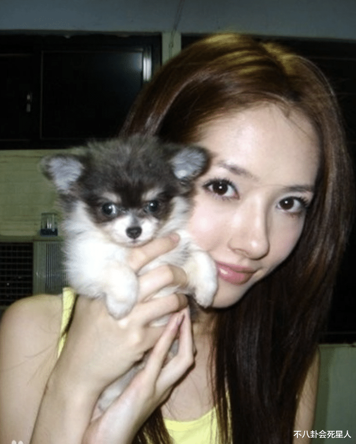 郭碧婷|郭碧婷带女儿聚会，发型随意状态沧桑，独自抱娃向佐当甩手掌柜