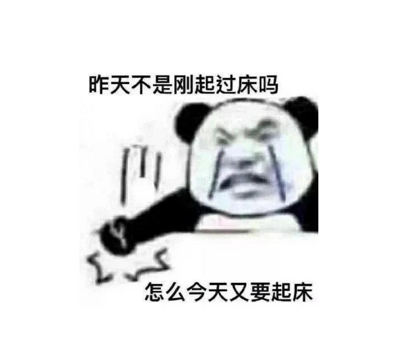 羊城派 温度记｜1号台风“杜鹃”生成，但无法充当广东“加湿器”