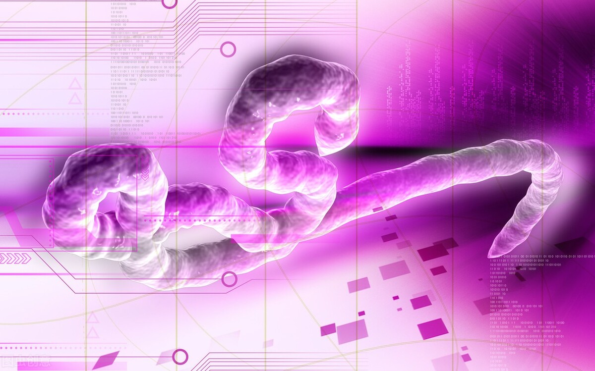  世间万物都是相生相克的，人类害怕病毒，那么谁是病毒的克星呢？