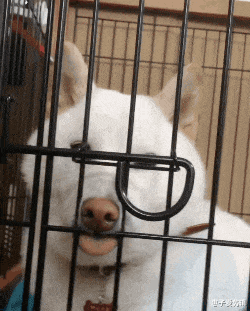 饵料|“嫂子天天去健身房，教练专门陪她训练，还不收费”