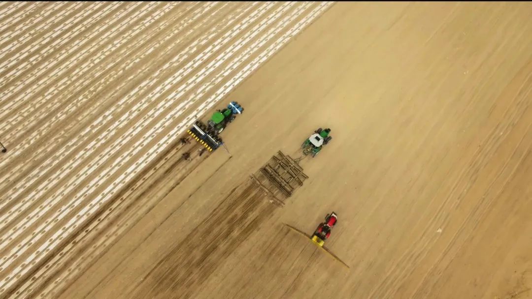 瓜州县融媒体中心 瓜州县西湖镇：打造蜜瓜强镇建设生态西湖