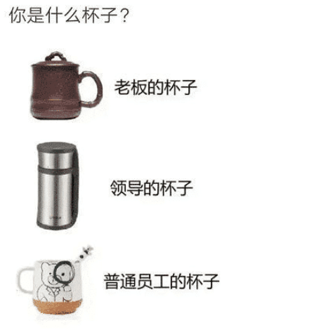 咸蛋的小姐|“你用的杯子暴露了你的工作职位！”哈哈哈哈哈真实的一批！