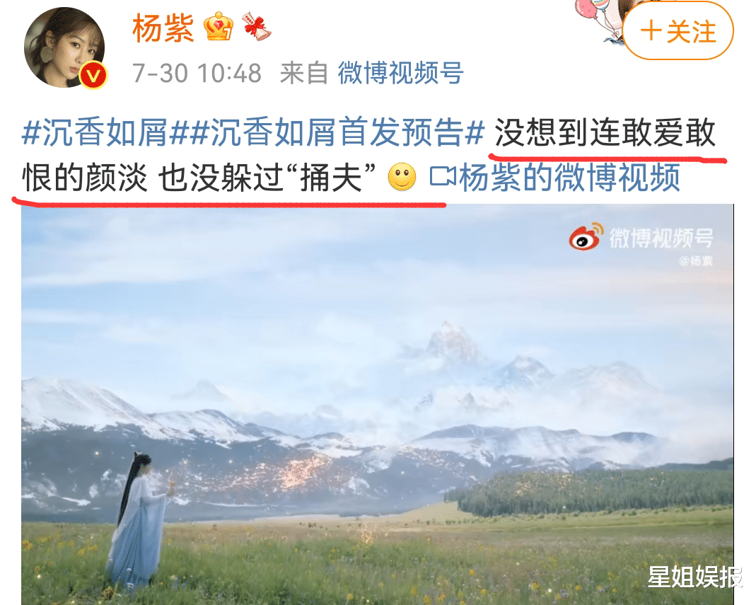 杨紫|杨紫没抢叶青的角色？《沉香如屑》阵容官宣，女二芷昔是孟子义演的