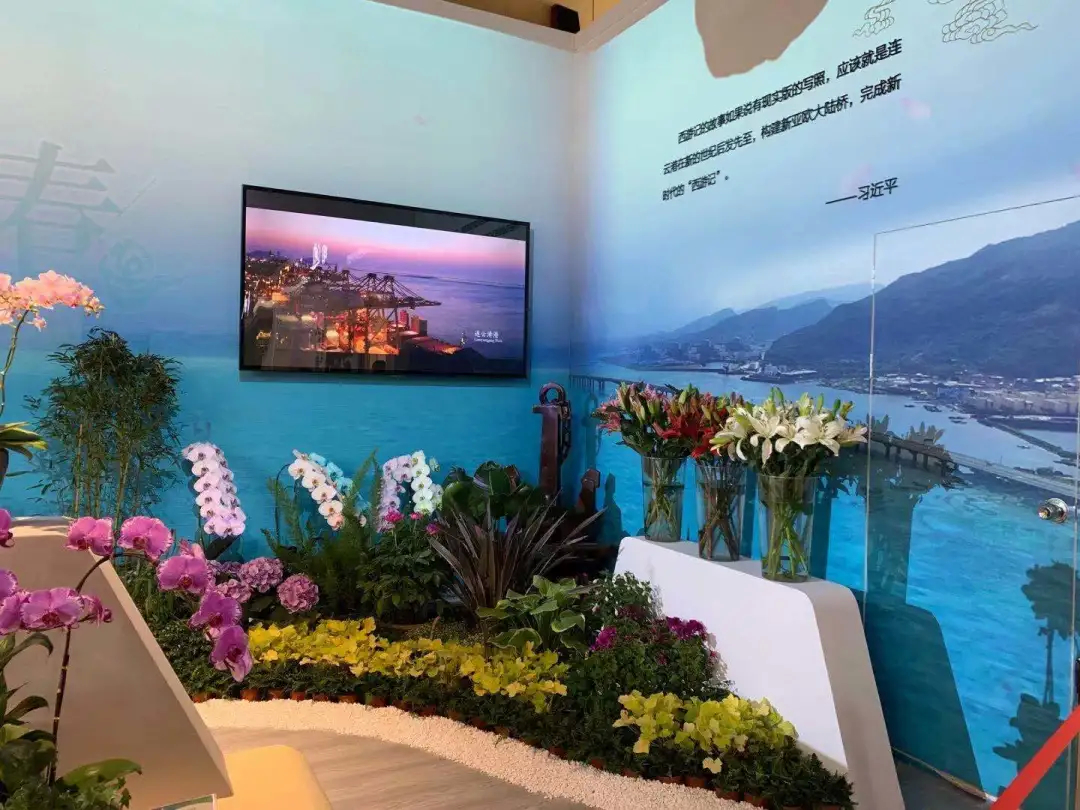 連云港手機臺 驚艷！連云港館閃耀揚州世園會