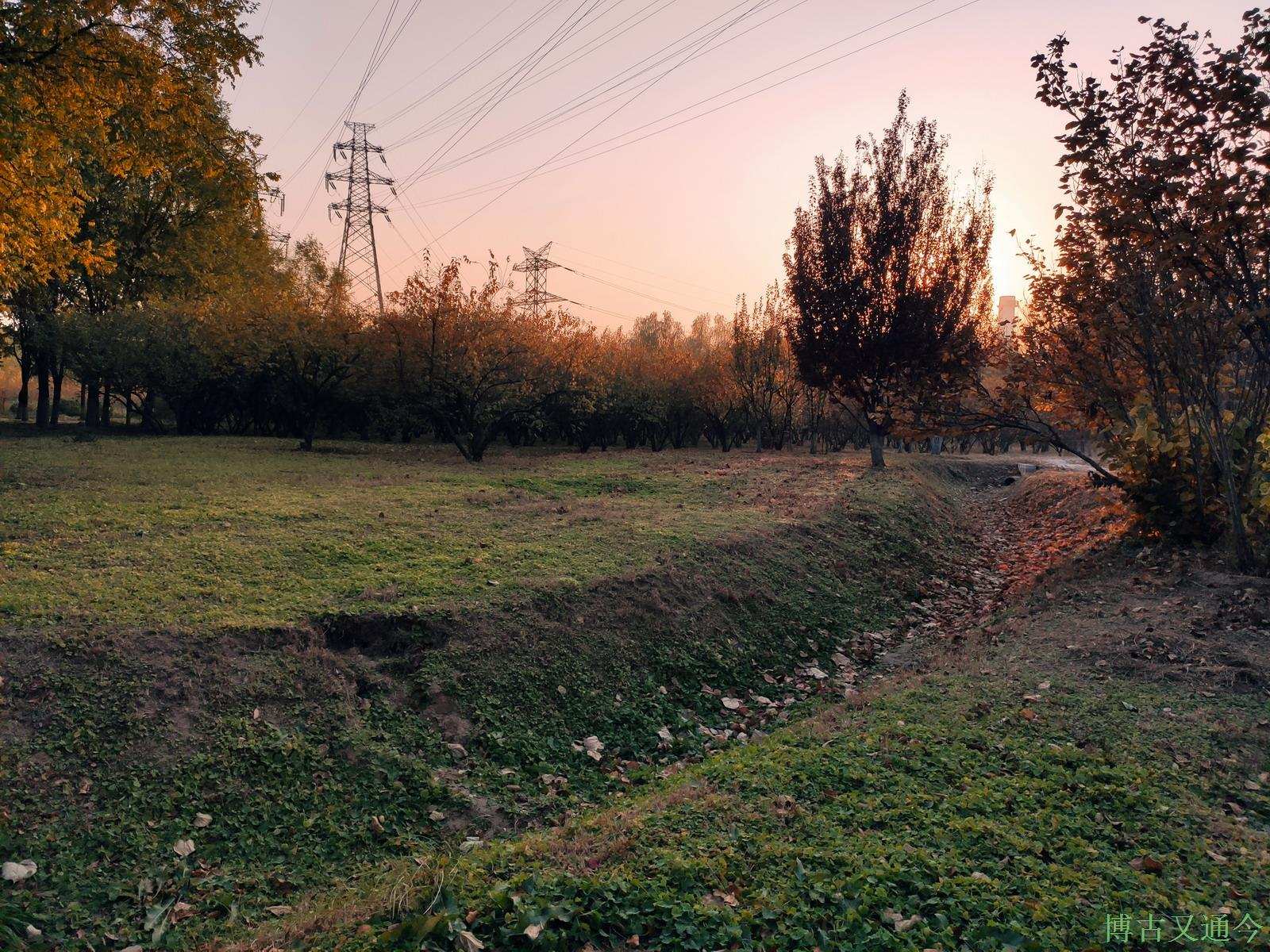 博古又通今 四环边郊野公园散心，回顾一冬走过来的景象