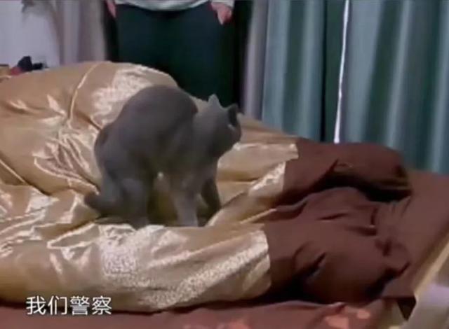 吴嘉情吧|妈宝男被抓，父母不但不责骂，还忙前忙后帮忙穿衣裤