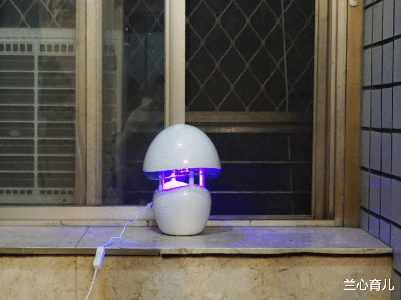 兰心育儿|宝宝被蚊子叮咬后，第一步不是帮娃止痒，很多家长都做错了