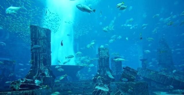  太平洋深处2000米，发现建筑群，是不是亚特兰蒂斯遗址