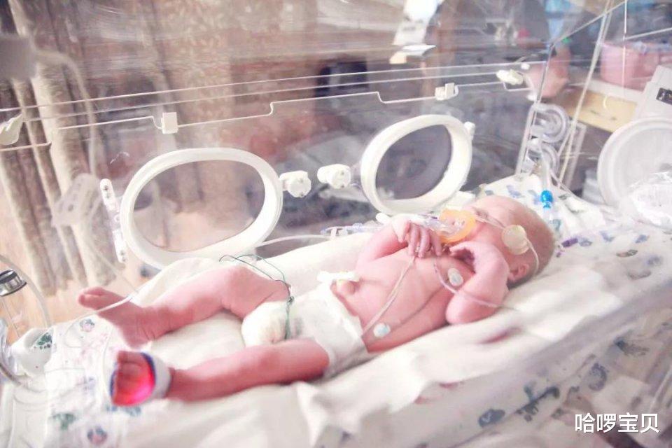 哈啰宝贝|“大力”出奇迹！深圳495克超早产宝宝健康出院，仅孕育22周加5天