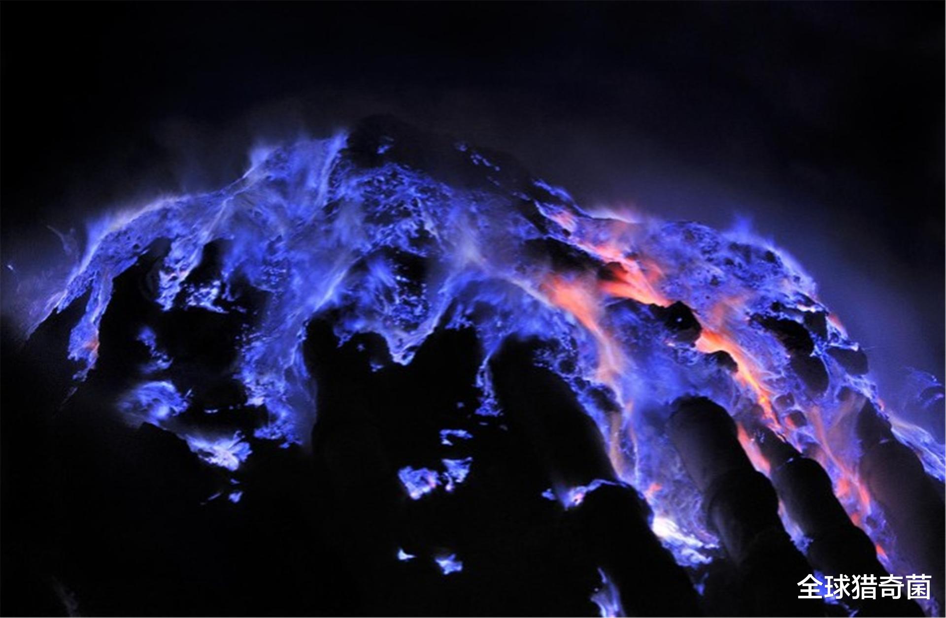 驻马店 30张罕见的照片告诉你,未经人类打扰的大自然有多美!