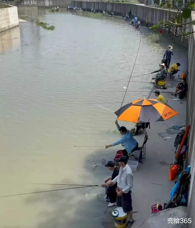 上海市|上海一河道成“天然黑坑”，成百上千钓鱼人聚集于此，网友：壮观