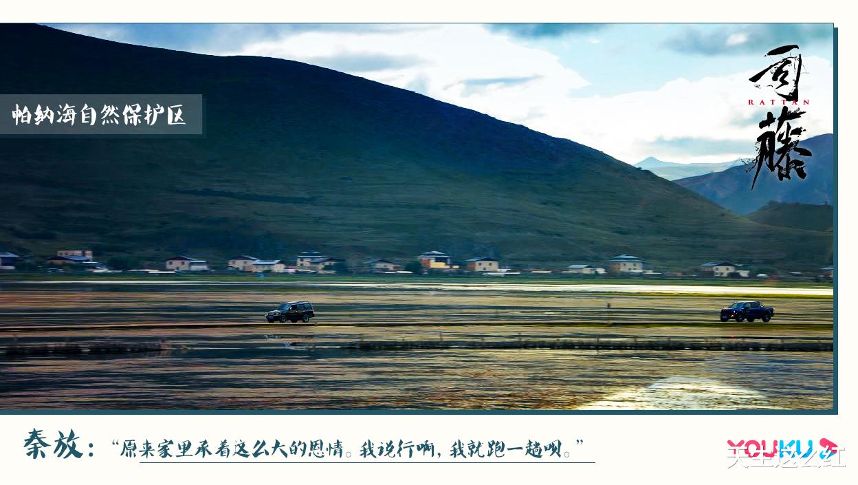 司藤|不花钱点播+主角大方互动+实景拍摄，《司藤》正常得好不习惯！