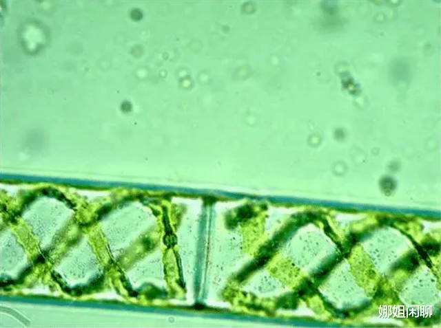 太阳熄灭后，人类多久才能感知？8分钟后？准确来说是10000年