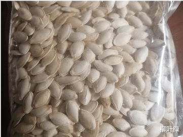 衰老|南瓜子有哪些营养价值及健身功效？