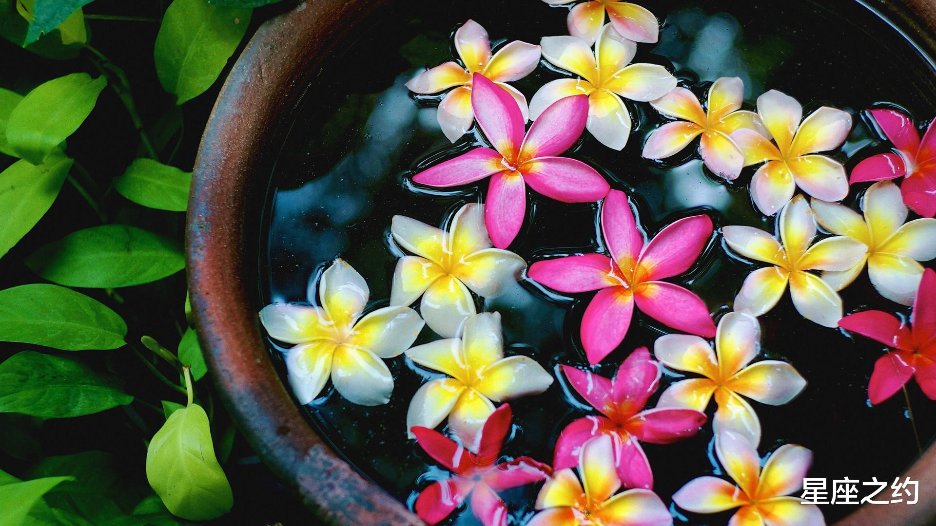 星座之约|9月7日星座运势:巨蟹迎接挑战,天秤循序渐进,双鱼好胜心强