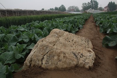  世界上最小的山，高度只有0.6米，却无人敢攀登！