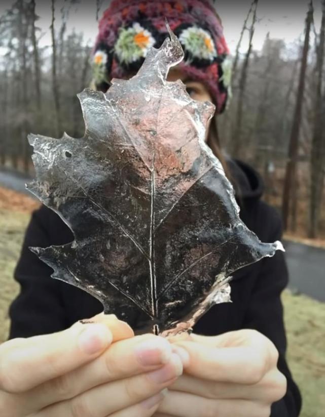  36张罕见的照片，感觉被大自然惊艳到了。