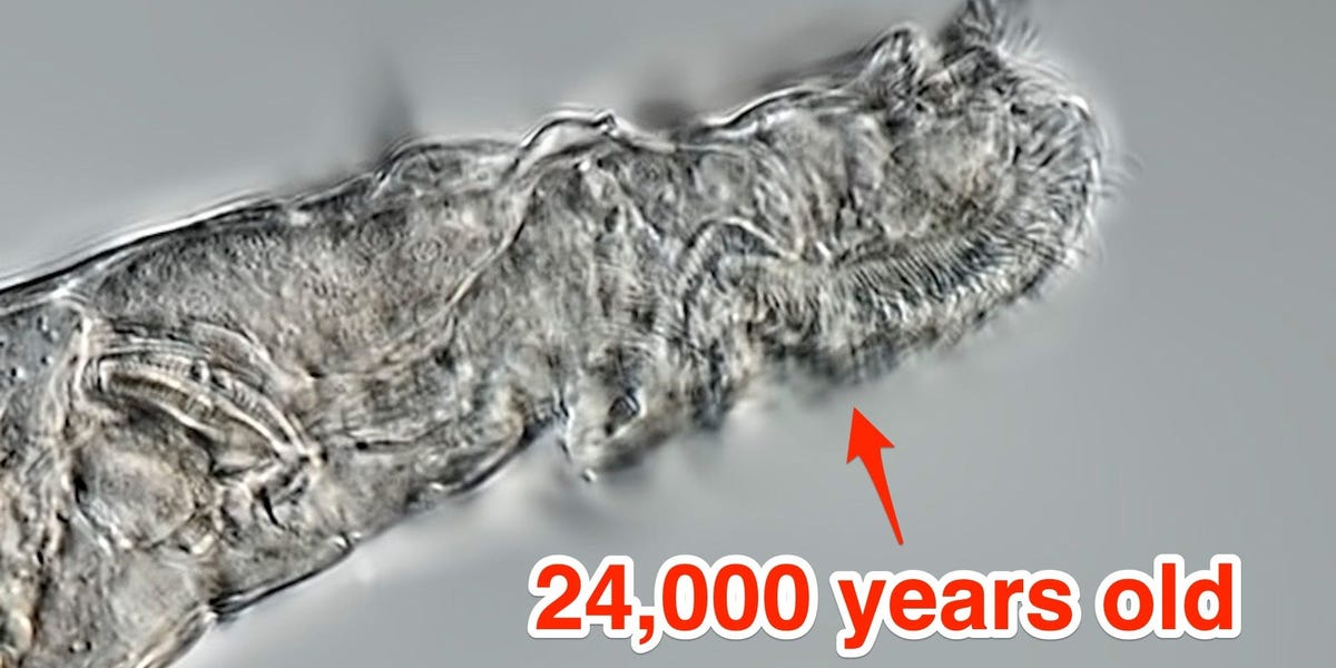  人，真的可以死而复生吗？揭秘人体冷冻全过程！