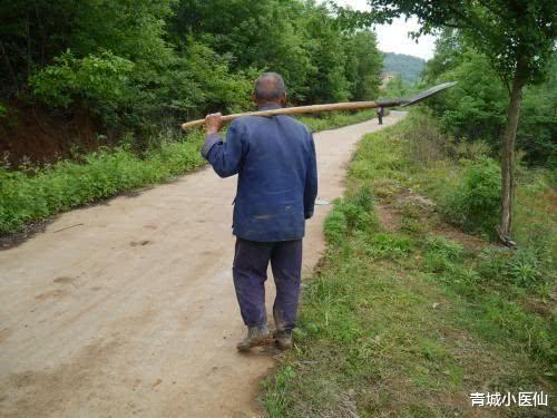 高血压|远离高血压，请记住，7个坚持，你的血压才会更好