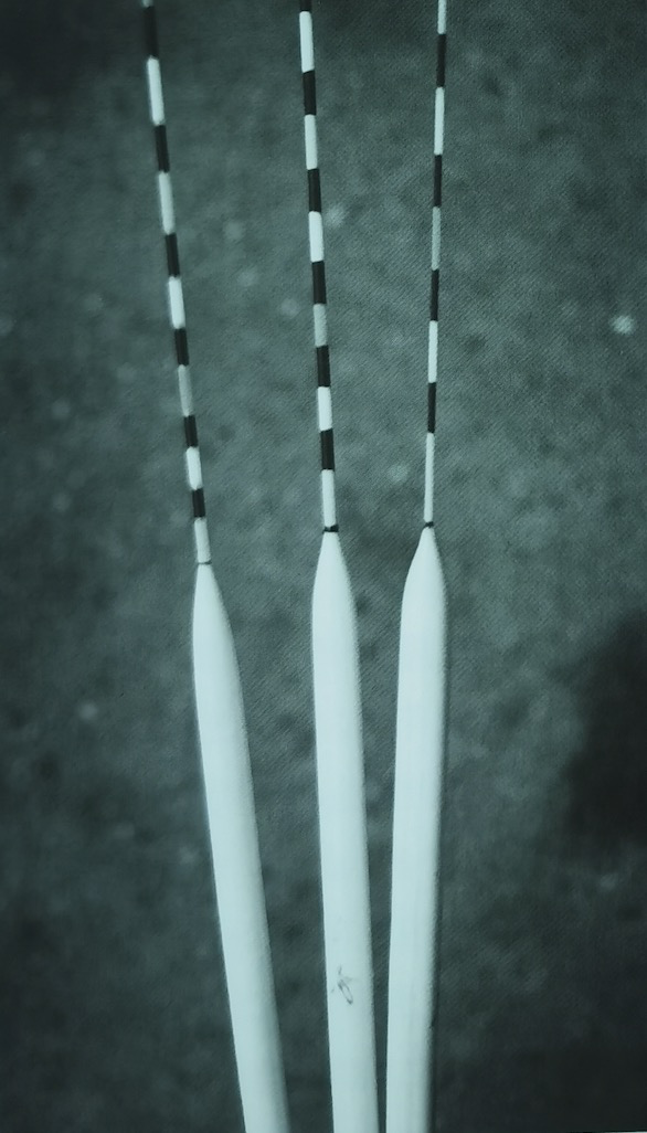 地方时政|[ 日本鲫鱼钓 ] 底钓法第二篇依据水深选择鱼竿 日本钓鱼书