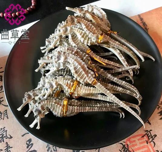 曲草堂滋补养生旗舰店 食用海马的注意事项