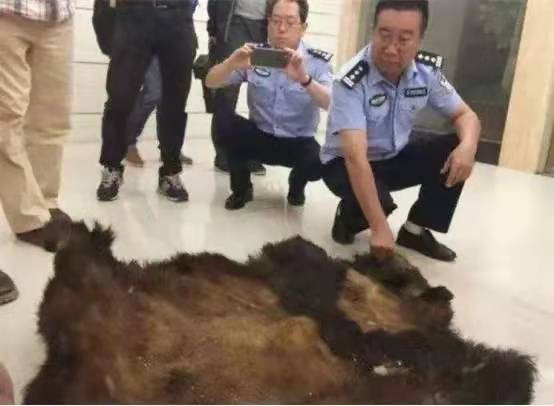 2014年,云南兄弟因自家羊被咬死,残忍杀害大熊猫,哥俩下场如何
