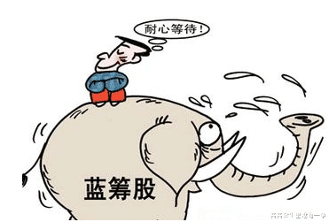 芸芸众生里沧海一粟 把我们的资本投资在可以持续创造价值的个股上