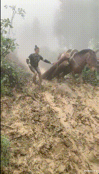 大爷 六十五岁的门卫周大爷因屡次遭到校花骚扰，被迫提出辞职，称现在的年轻人真让人受不了