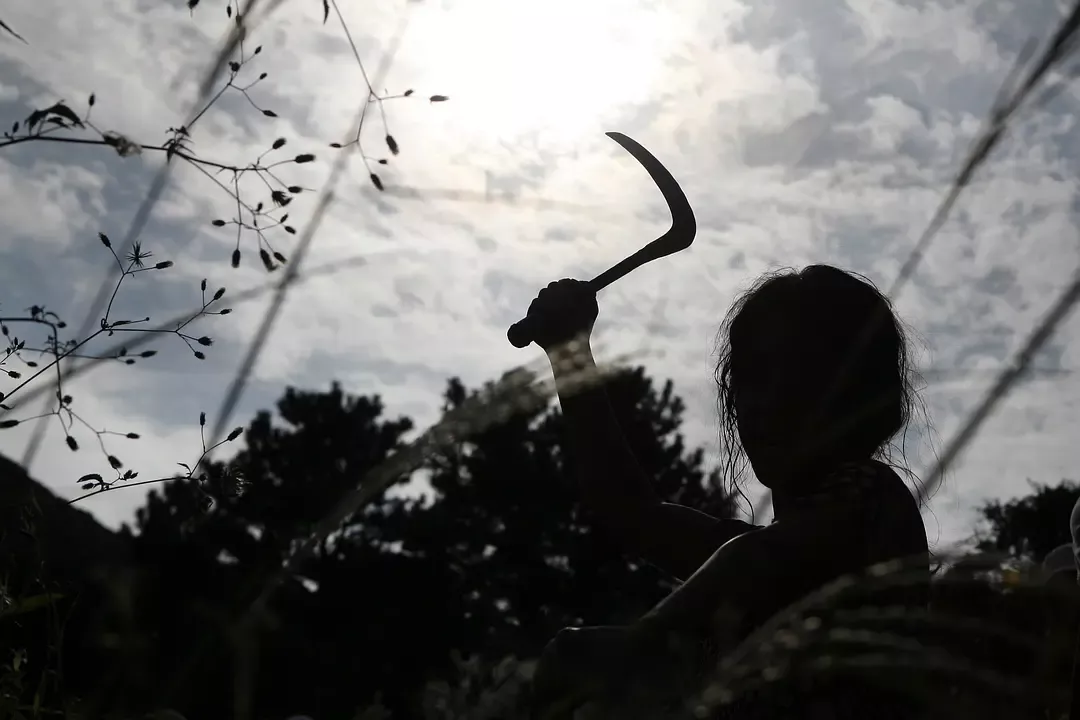 球话莲篇 禽兽!当着妻子招嫖,连女儿都不放过,看完他的下场我爽了