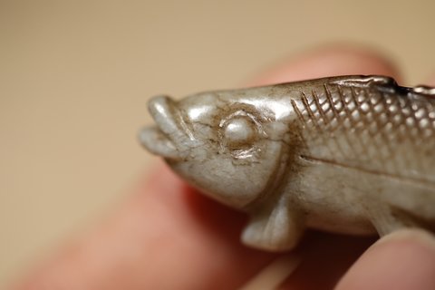 油鱼|清代老提油鱼化龙