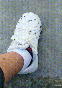 减肥晚餐 大叔刷了200万礼物,终于在如家跟网红女神见面,场面不忍直视!