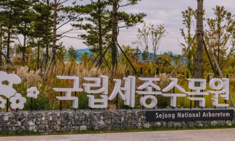 美关商贸 韩国国立世宗树木园的万圣节气氛