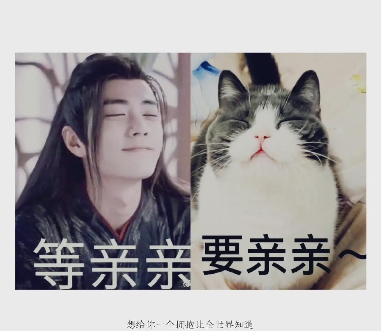 肖战|肖战登泰国双趋势，华少称赞肖战的五号病人充满魅力！