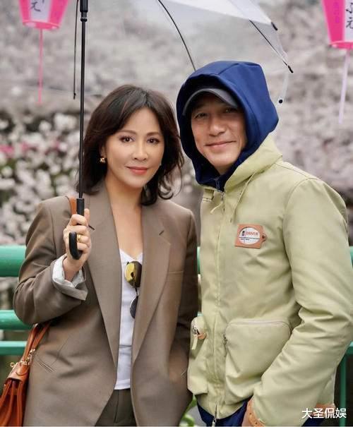 董洁|“白莲花”鼻祖董洁上位史，这信息量不是一般的大