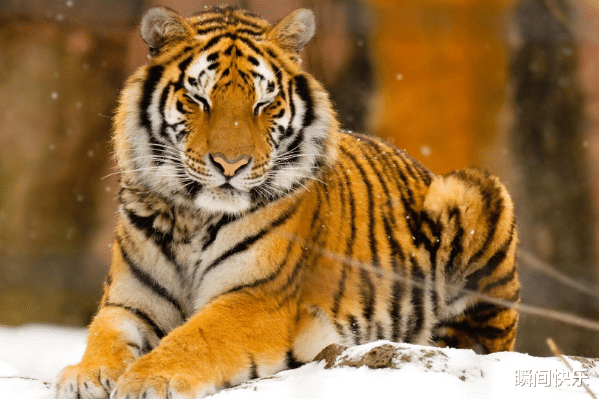 瞬间快乐|7月9-7月16日，贵人相助，3生肖摆脱霉运，事业跳出困境