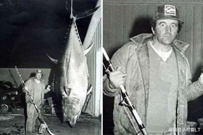 浙江省 吉尼斯世界纪录中的鱼