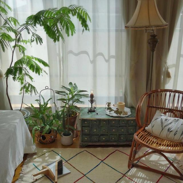 |53岁日本阿姨晒家居生活照：全屋温暖治愈，唯美的堪比电影场景！